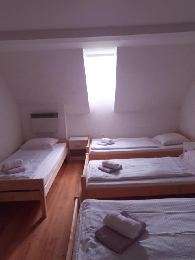 Guesthouse Osvald Zirovnica Exterior foto